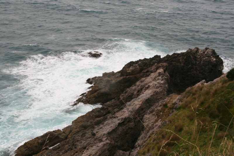 Nieuw-Zeeland 2011 - 0484